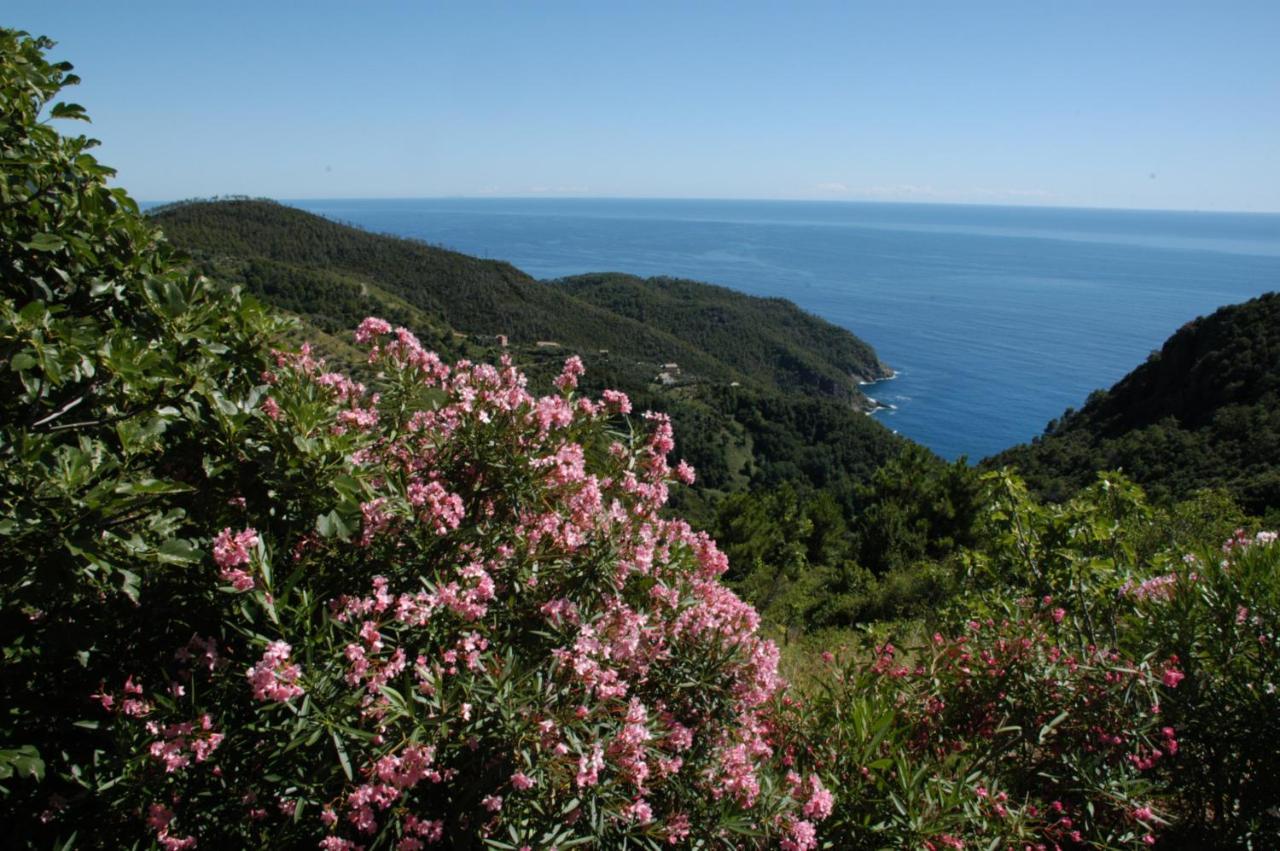 Maison De Charme Giulietta Bonassola Esterno foto